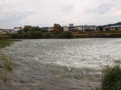 増水した鏡川トリム公園前