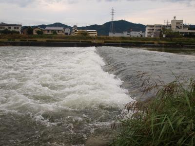 増水で水没したトリム公園前床止堰