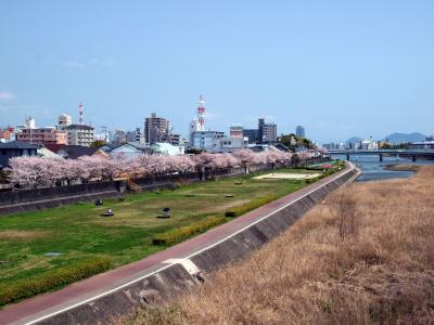 築屋敷の桜並木