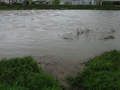 増水時のトリム公園前