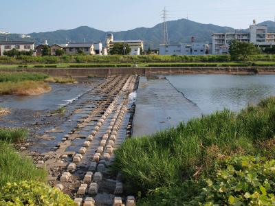 低水時のトリム公園前