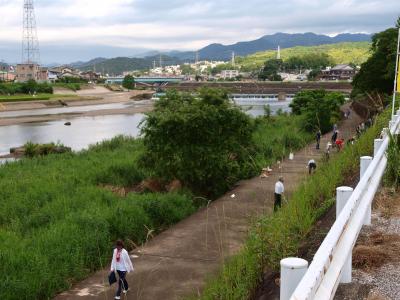 浦戸湾・七河川一斉清掃の様子