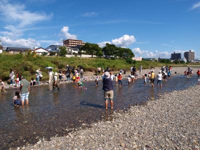 大勢の親子連れで賑わう鏡川こども祭