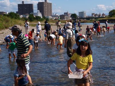 鏡川のいきものさがし