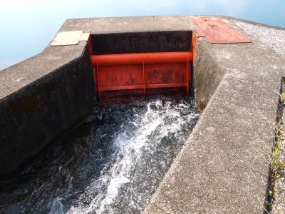 せき板設置後の流速が落ちた取水口