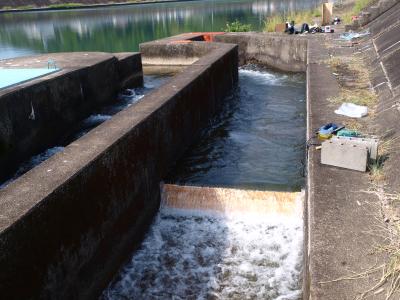 通水を再開した用水路