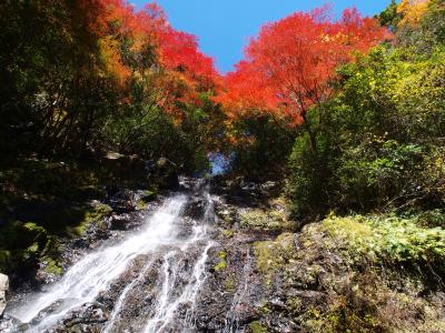 紅葉に包まれた山姥の滝