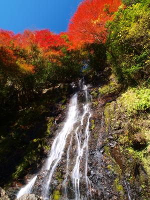 紅葉に包まれた山姥の滝