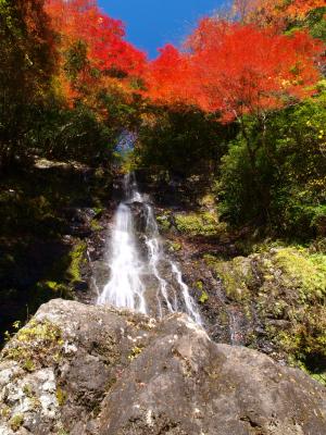 紅葉に包まれた山姥の滝