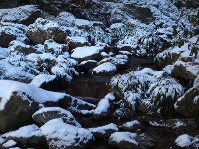 雪景色の渓流