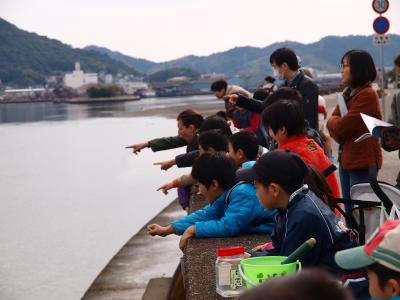 魚を見つけては大喜び