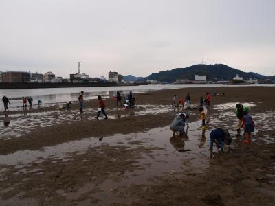 干潟で生き物さがし