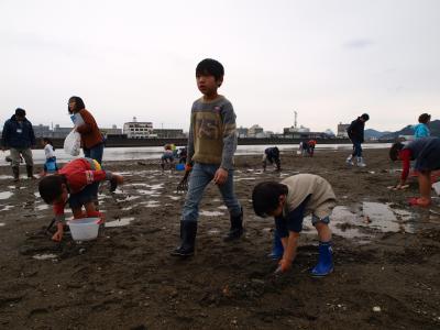 干潟で生き物と触れ合う子どもたち