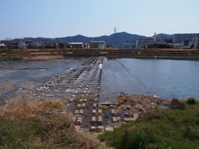 水量が少なく，魚類の移動が妨げられている