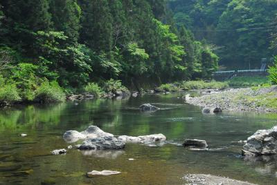 新緑の鏡川