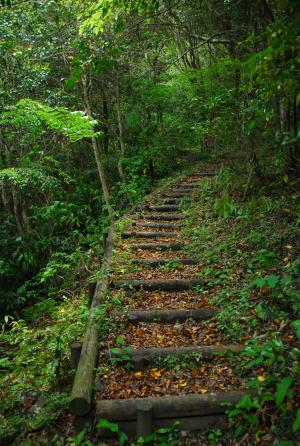 平家の滝遊歩道