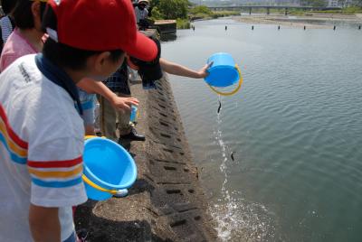 アユの放流