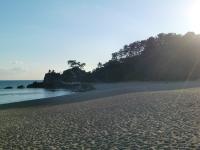 桂浜写真1