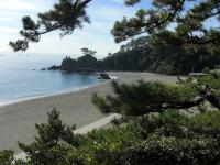 桂浜写真2