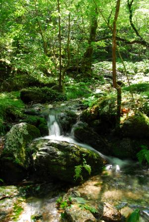 さいの川原