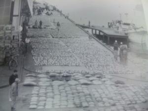 昔の画像５