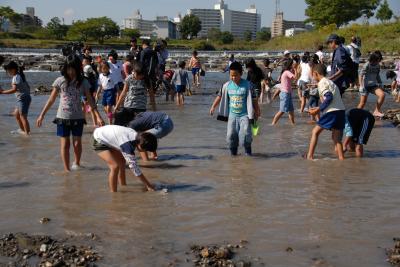 アユの産卵場整備