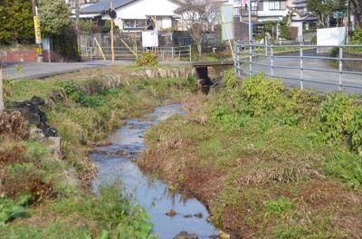 神田川上流の様子