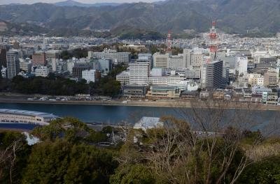 筆山からみた高知城