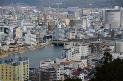 筆山から見た鏡川