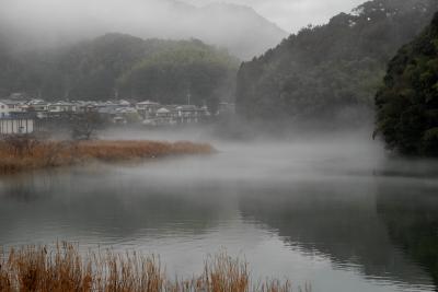 岩ヶ淵の霧