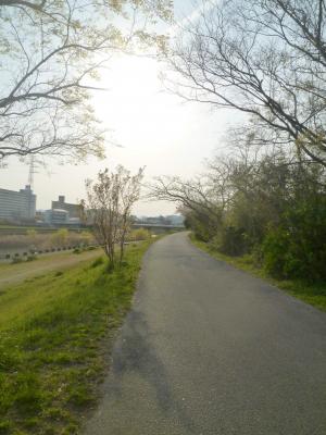 トリム公園