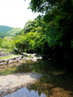 鏡川上流　吉原　深渕