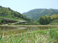 高知市中山間地域の風景