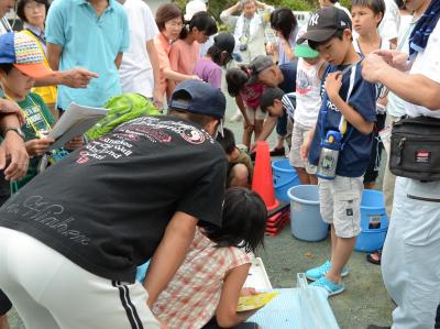 水生生物観察