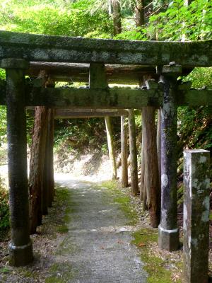 鳥居の正面