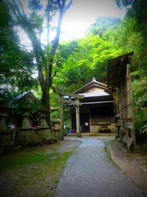七渕神社への道