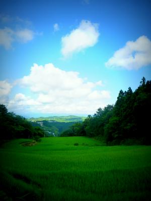 田園と青空