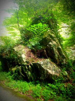 大岩と生い茂る緑