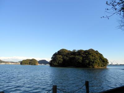 衣ヶ島　玉島