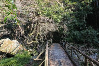 樽の滝へ向かう橋