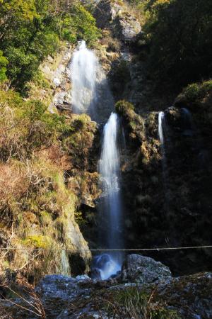 樽の滝の写真