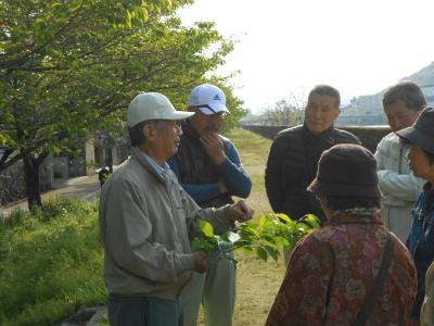 野島さん