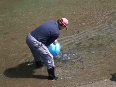 放流の様子