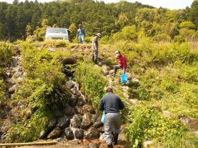 放流現場へバケツリレーしている様子