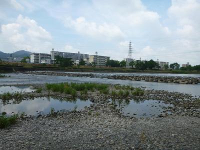 川原の様子