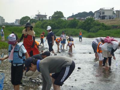 水生生物採集の様子