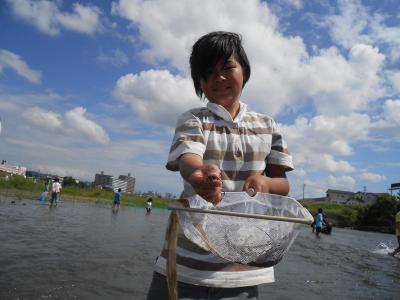 川の中の生き物探し2