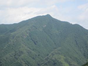 鏡川源流の森