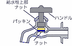 蛇口の断面図