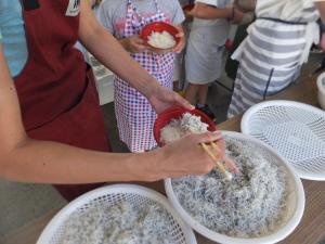 釜揚げちりめん丼写真